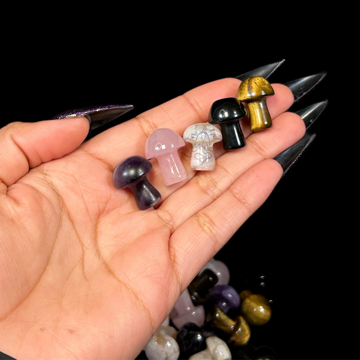 Tiny Mushroom Crystal Mix